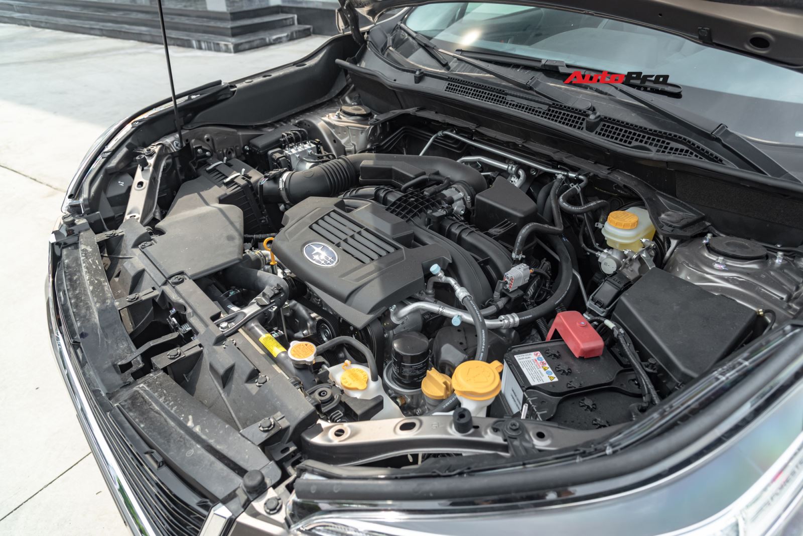 Đánh giá nhanh Subaru Forester 2019: Cơ hội trước Honda CR-V và Mazda CX-5? 1